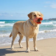color:pink | size:l (19cm)